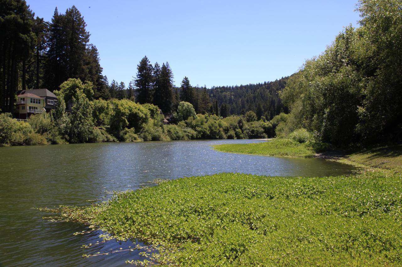 Inn On The Russian River Monte Rio Buitenkant foto